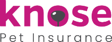 Knose Pet Insurance image